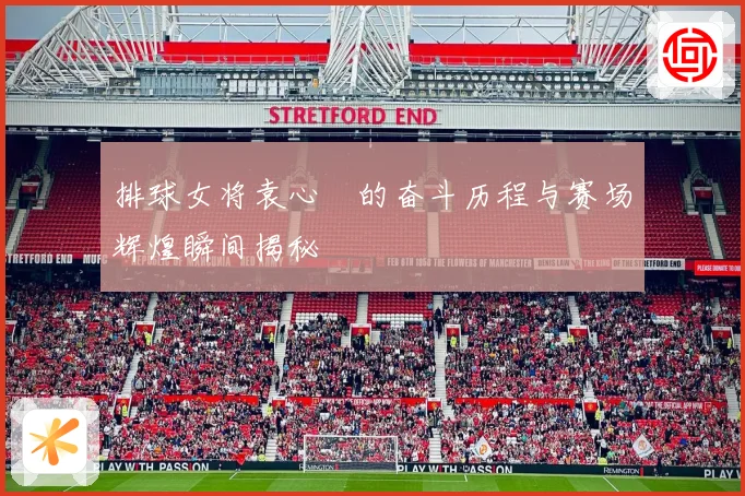 排球女将袁心玥的奋斗历程与赛场辉煌瞬间揭秘