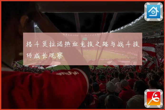 格斗莫拉诺热血竞技之路与战斗技巧成长观察