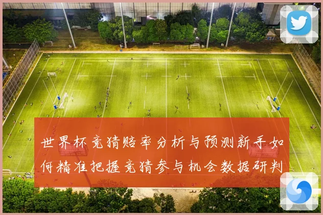 世界杯竞猜赔率分析与预测新手如何精准把握竞猜参与机会数据研判