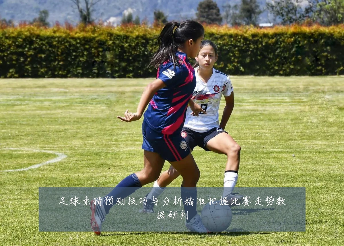 足球竞猜预测技巧与分析精准把握比赛走势数据研判