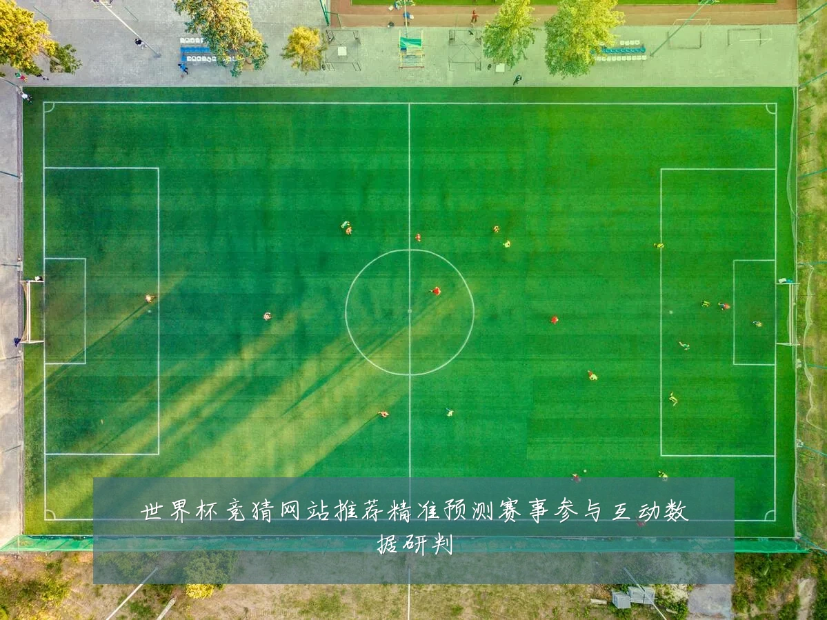 世界杯竞猜网站推荐精准预测赛事参与互动数据研判